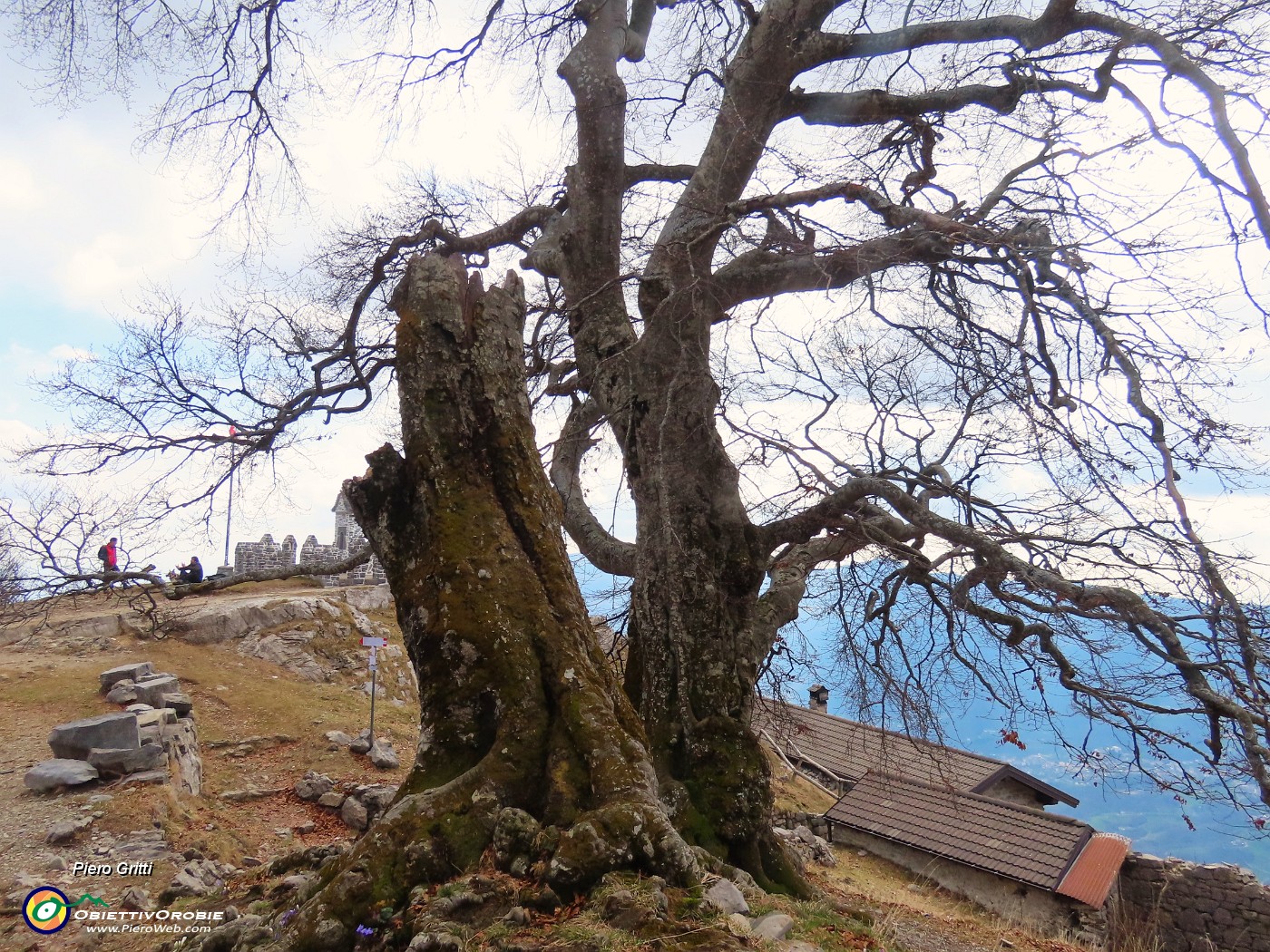 59 I Tre Faggi...quello centrale ci ha lasciato.JPG